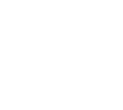 Top Mobile App Development Company