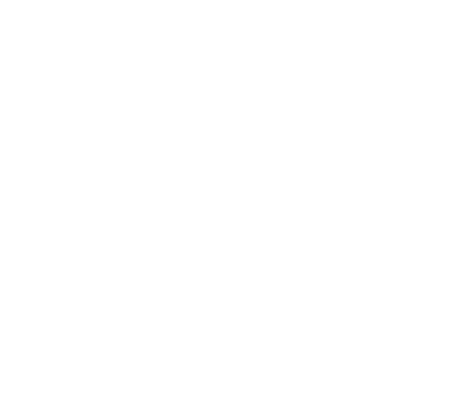 Custom Web Development Services